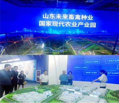 2024，循道而行——濟南公共資源交易中心鋼城分中心公共資源交易運行技術服務